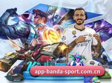 半岛综合 APP 界面